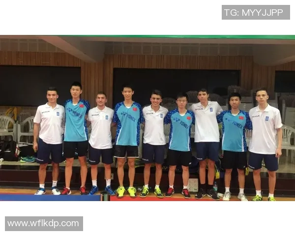 成都羽毛球队与深圳羽毛球队赛后技术分析与战术对比探讨